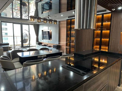 Dolphin Plaza Project, Vietnam Dolphin Plaza Project, Vietnam