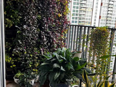 Green View, Vietnam Green View, Vietnam