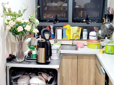 The Vesta Project, Vietnam The Vesta Project, Vietnam