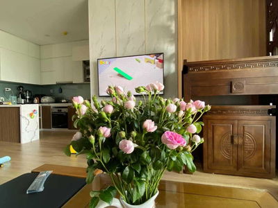 Rivera Park Hanoi Project, Vietnam  Rivera Park Hanoi Project, Vietnam