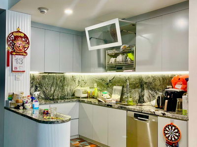 The Artemis Project, Vietnam The Artemis Project, Vietnam