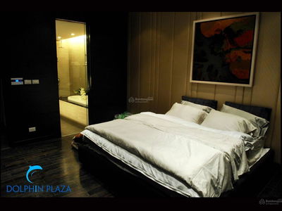 Dolphin Plaza Project, Vietnam Dolphin Plaza Project, Vietnam