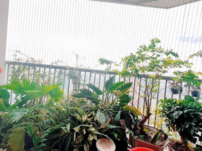 New Skyline Project, Vietnam New Skyline Project, Vietnam