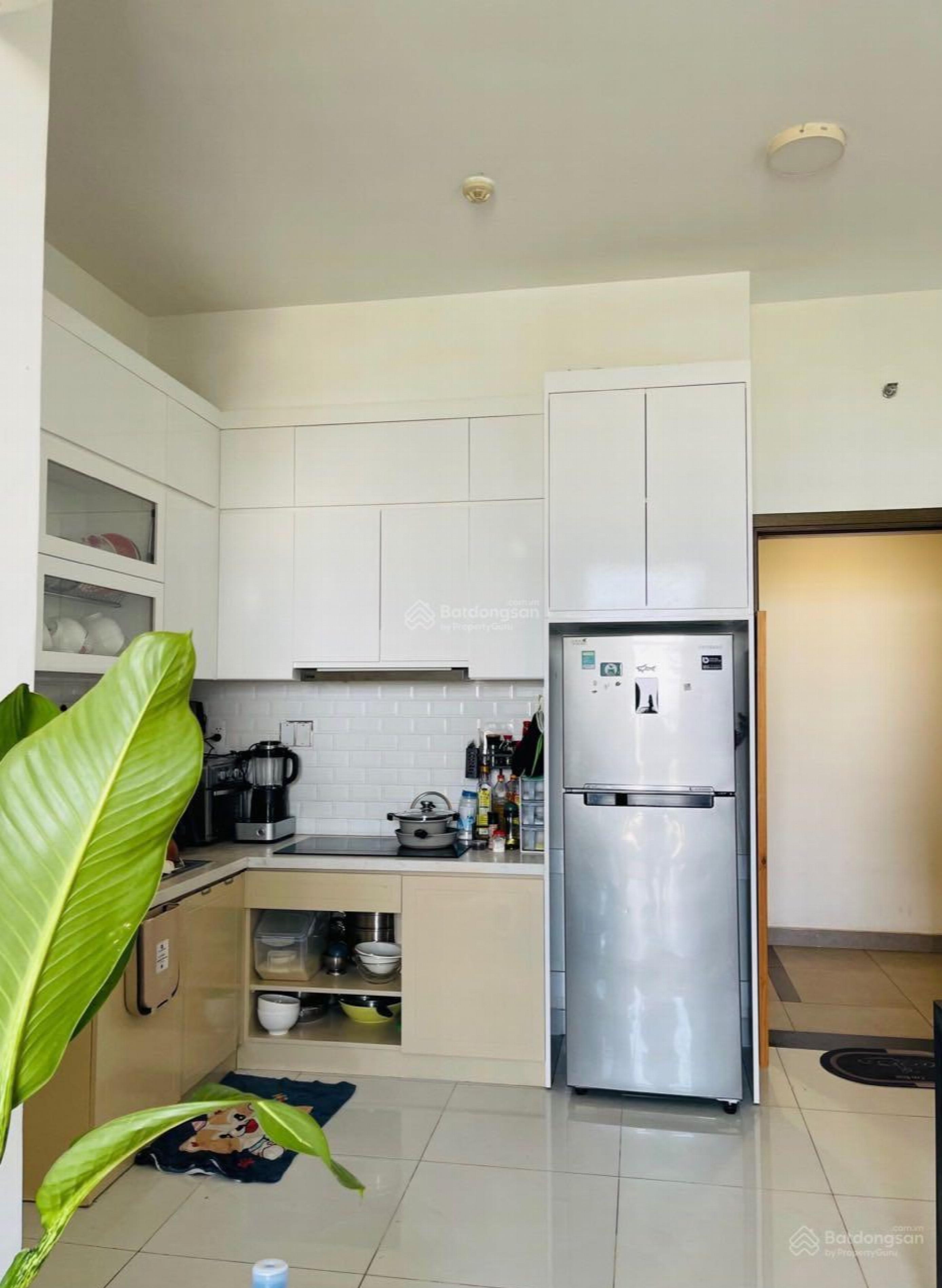 Jamila Khang Dien, Vietnam Jamila Khang Dien, Vietnam