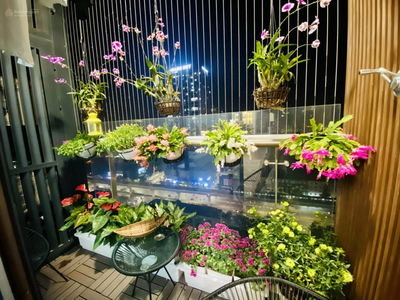 GoldSeason, Vietnam GoldSeason, Vietnam