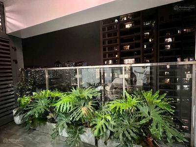 GoldSeason, Vietnam GoldSeason, Vietnam