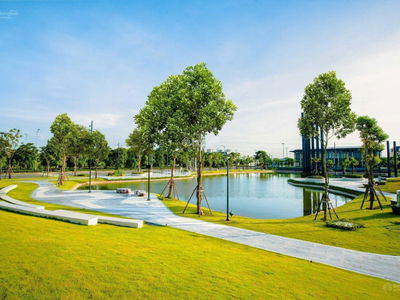 - An Lac Green Symphony, Vietnam - An Lac Green Symphony, Vietnam
