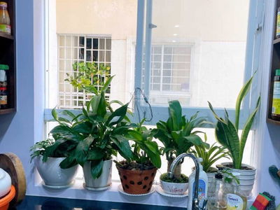 Tecco Green Nest, Vietnam Tecco Green Nest, Vietnam