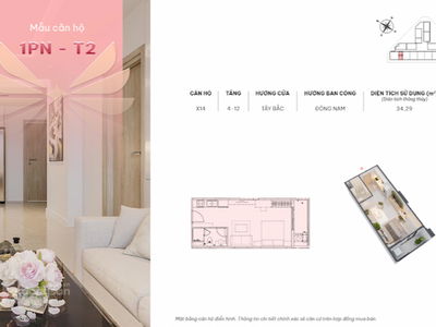 - Phuoc Long, Vietnam - Phuoc Long, Vietnam