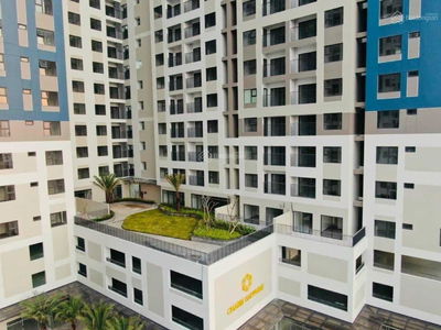 Charm City Project, Vietnam Charm City Project, Vietnam