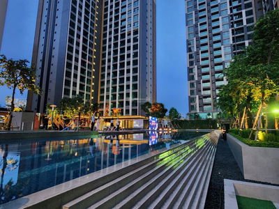 Of The Sun, Vietnam Of The Sun, Vietnam