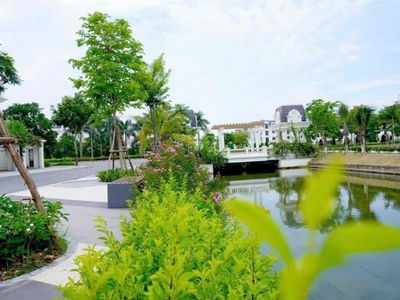 - An Lac Green Symphony, Vietnam  - An Lac Green Symphony, Vietnam