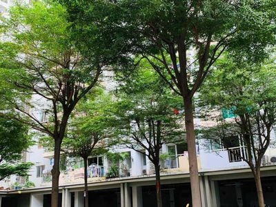 An Vien Apartment, Vietnam An Vien Apartment, Vietnam