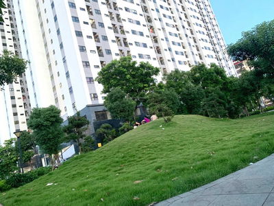 Golden Land 5 Project Golden Land 5 Project