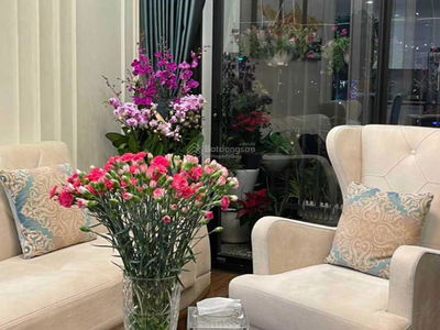 N01-T1 Diplomatic Corps, Vietnam N01-T1 Diplomatic Corps, Vietnam