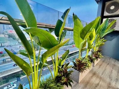 FLC Landmark Tower Project, Vietnam FLC Landmark Tower Project, Vietnam