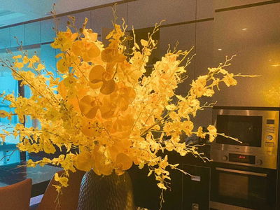 Thanh Xuan Complex Project, Vietnam Thanh Xuan Complex Project, Vietnam