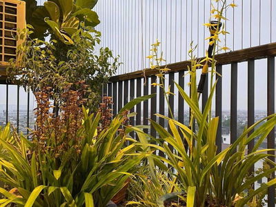 The K Park Project, Vietnam The K Park Project, Vietnam