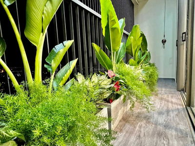 Roman Plaza Project, Vietnam  Roman Plaza Project, Vietnam