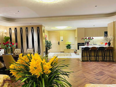 Dolphin Plaza Project, Vietnam Dolphin Plaza Project, Vietnam