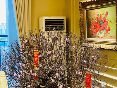 Dolphin Plaza Project, Vietnam Dolphin Plaza Project, Vietnam