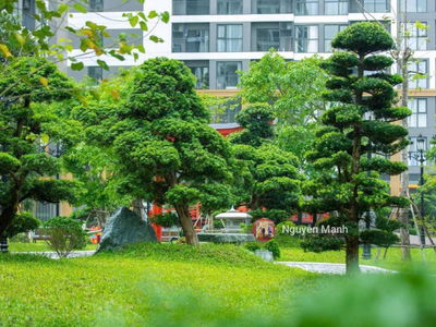 - Vinhomes Smart City, Vietnam - Vinhomes Smart City, Vietnam