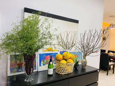 Mulberry Lane Project, Vietnam Mulberry Lane Project, Vietnam