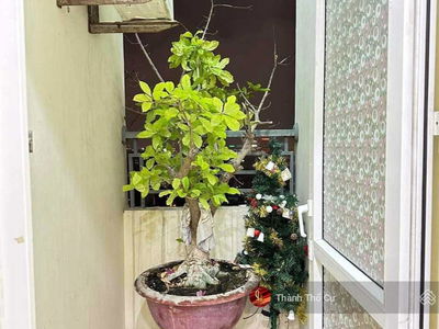 Nam Do Complex, Vietnam Nam Do Complex, Vietnam