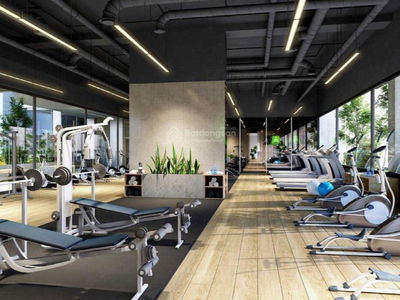 Kingdom 101, Vietnam Kingdom 101, Vietnam