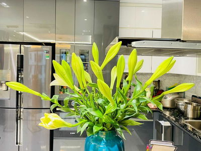 Eco Lake View Project, Vietnam Eco Lake View Project, Vietnam