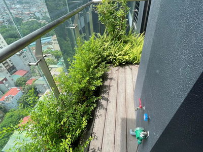 93 Lang Ha, Vietnam 93 Lang Ha, Vietnam