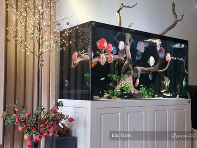 Ecolife Capitol, Vietnam Ecolife Capitol, Vietnam