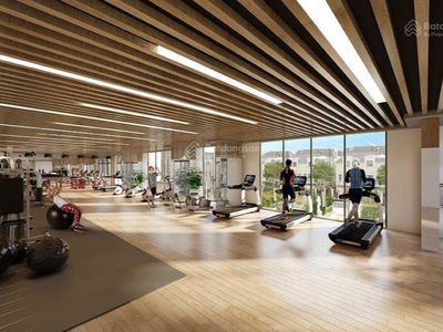 - An Lac Green Symphony, Vietnam - An Lac Green Symphony, Vietnam