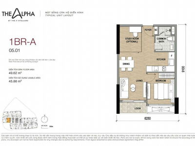 The 9 Stellars, Vietnam The 9 Stellars, Vietnam