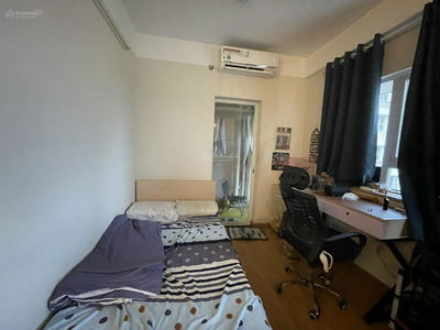 Flora Cherry, Vietnam Flora Cherry, Vietnam