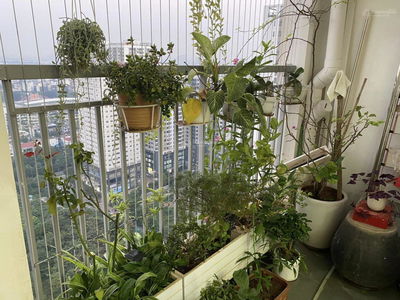 Diplomatic Corps Area Project, Vietnam Diplomatic Corps Area Project, Vietnam