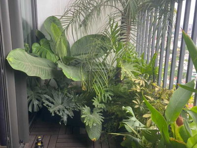 The Golden Palm Le Van Luong, Vietnam The Golden Palm Le Van Luong, Vietnam