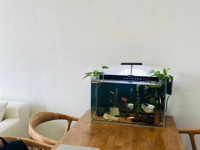 Ehome Southgate Project, Vietnam Ehome Southgate Project, Vietnam