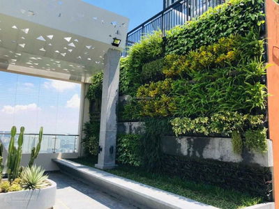 The Zei My Dinh, Vietnam The Zei My Dinh, Vietnam