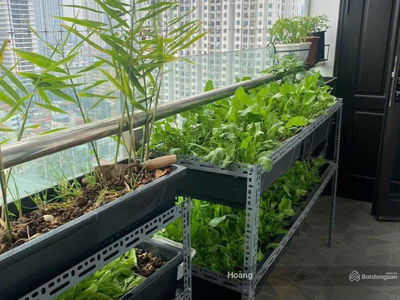 Hei Tower Dien Luc Project, Vietnam Hei Tower Dien Luc Project, Vietnam