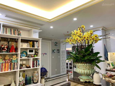 D'. Le Roi Soleil, Vietnam D'. Le Roi Soleil, Vietnam