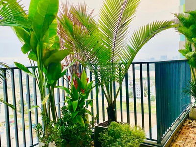 Green View, Vietnam Green View, Vietnam