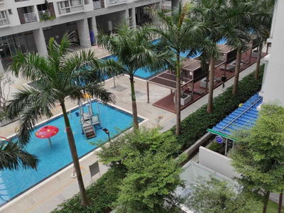 Scenic Valley 1, Vietnam Scenic Valley 1, Vietnam