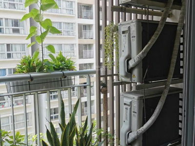 Scenic Valley 1, Vietnam Scenic Valley 1, Vietnam