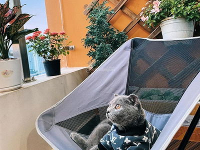 Dragon Hill Residence and Suites 2, Vietnam Dragon Hill Residence and Suites 2, Vietnam