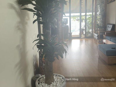 CT36 - Dream Home, Vietnam  CT36 - Dream Home, Vietnam
