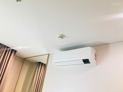 - An Lac Green Symphony, Vietnam - An Lac Green Symphony, Vietnam