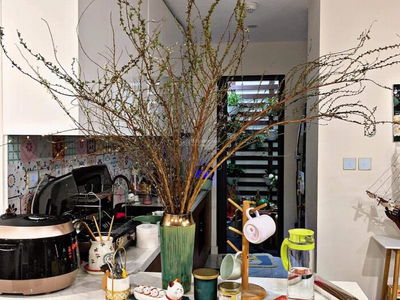 Sunshine City Project, Vietnam Sunshine City Project, Vietnam