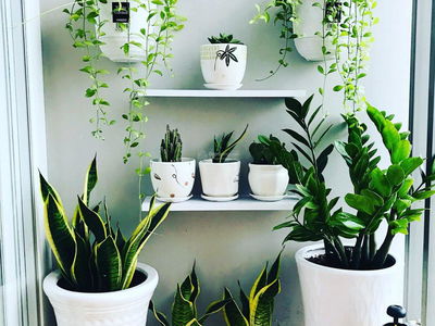 Angiya Star, Vietnam Angiya Star, Vietnam