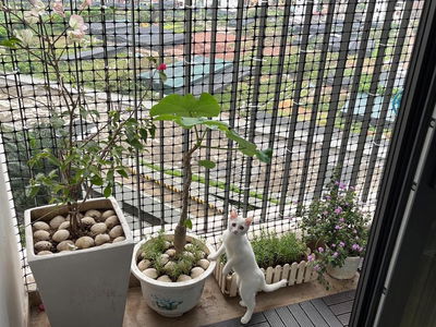 Ecopark Project Ecopark Project